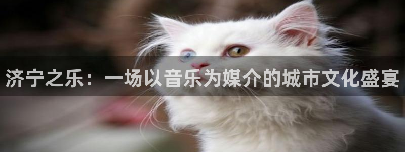 pg国际官网：济宁之乐：一场以音乐为媒介的城市文化盛宴