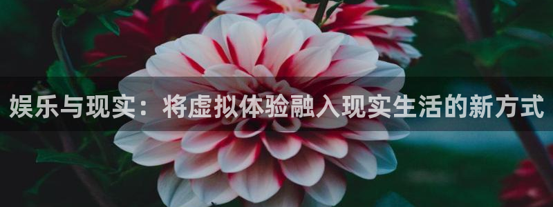 pg国际官网：娱乐与现实：将虚拟体验融入现实生活的新方式