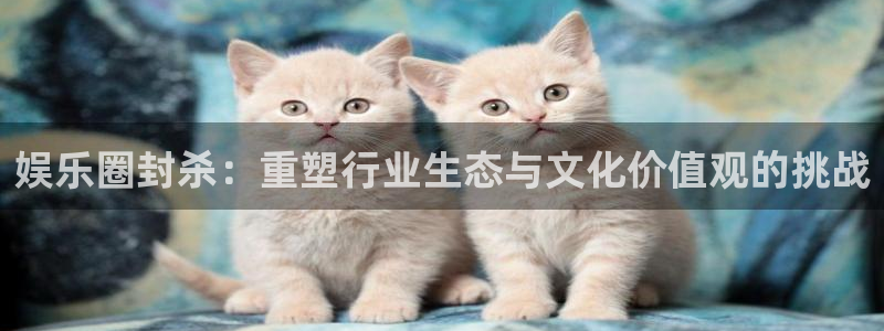 pg国际：娱乐圈封杀：重塑行业生态与文化价值观的挑战