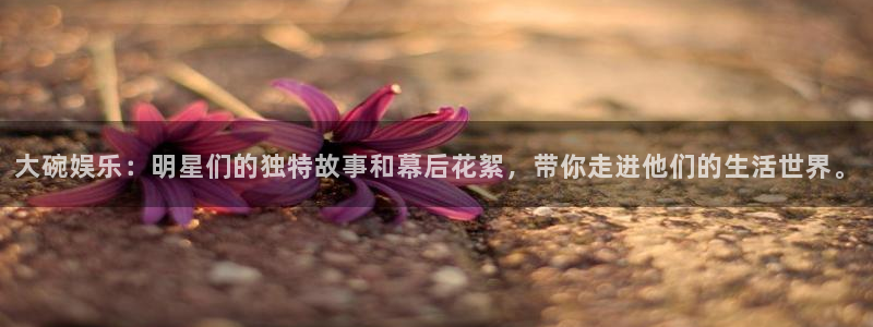 pg国际人：大碗娱乐：明星们的独特故事和幕后花絮，带你走进他们的生活世界。