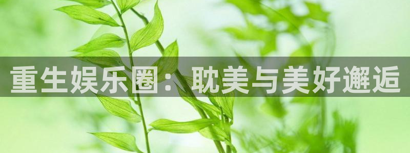 pg国际下载：重生娱乐圈：耽美与美好邂逅