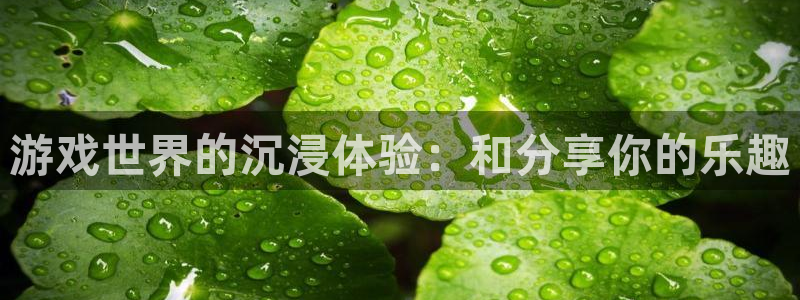 pg国际服：游戏世界的沉浸体验：和分享你的乐趣