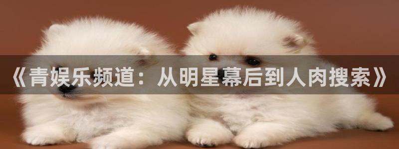 pg国际服：《青娱乐频道：从明星幕后到人肉搜索》