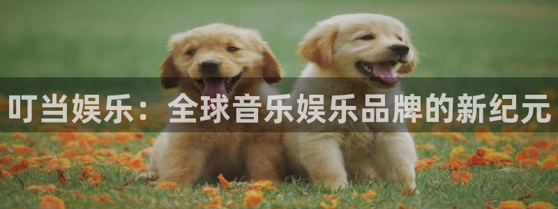 pg国际：叮当娱乐：全球音乐娱乐品牌的新纪元