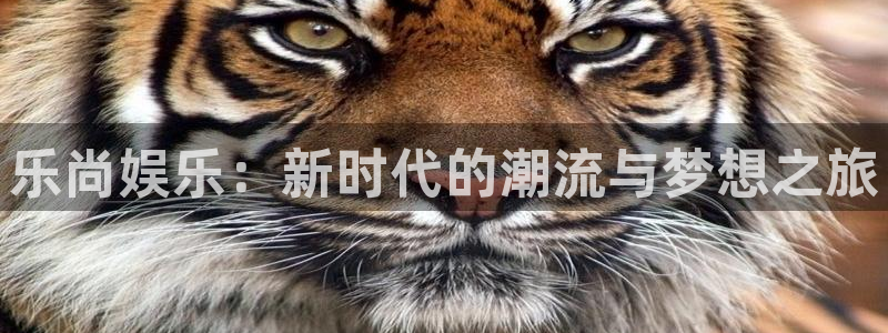 pg国际服：乐尚娱乐：新时代的潮流与梦想之旅