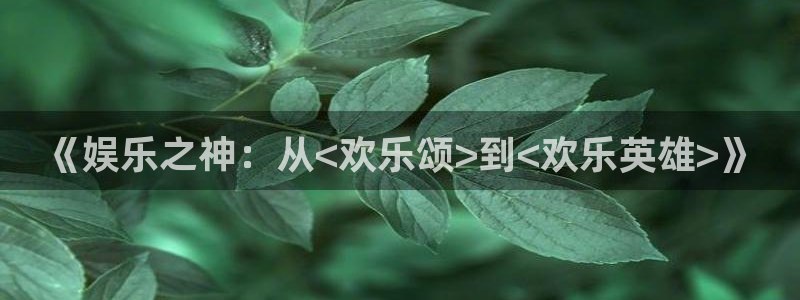 pg国际人：《娱乐之神：从<欢乐颂>到<欢乐英雄>》