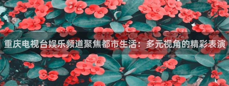 pg国际人：重庆电视台娱乐频道聚焦都市生活：多元视角的精彩表演
