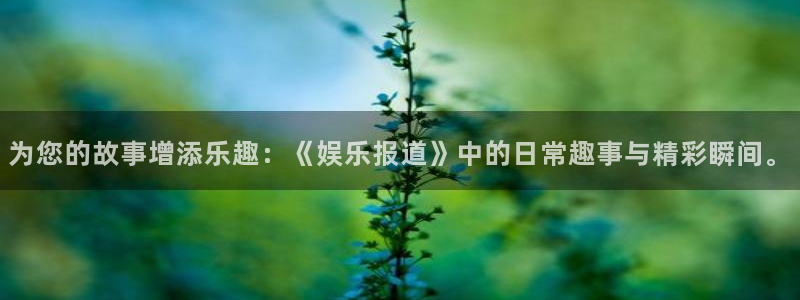 pg国际平台：为您的故事增添乐趣：《娱乐报道》中的日常趣事与精彩瞬间。