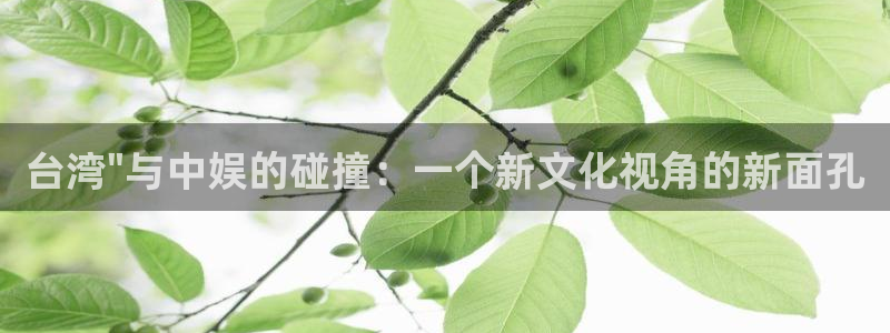 pg国际下载：台湾\